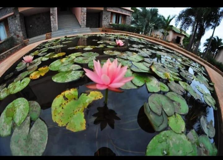 Krishna Heritage Resort Бадами Экстерьер фото